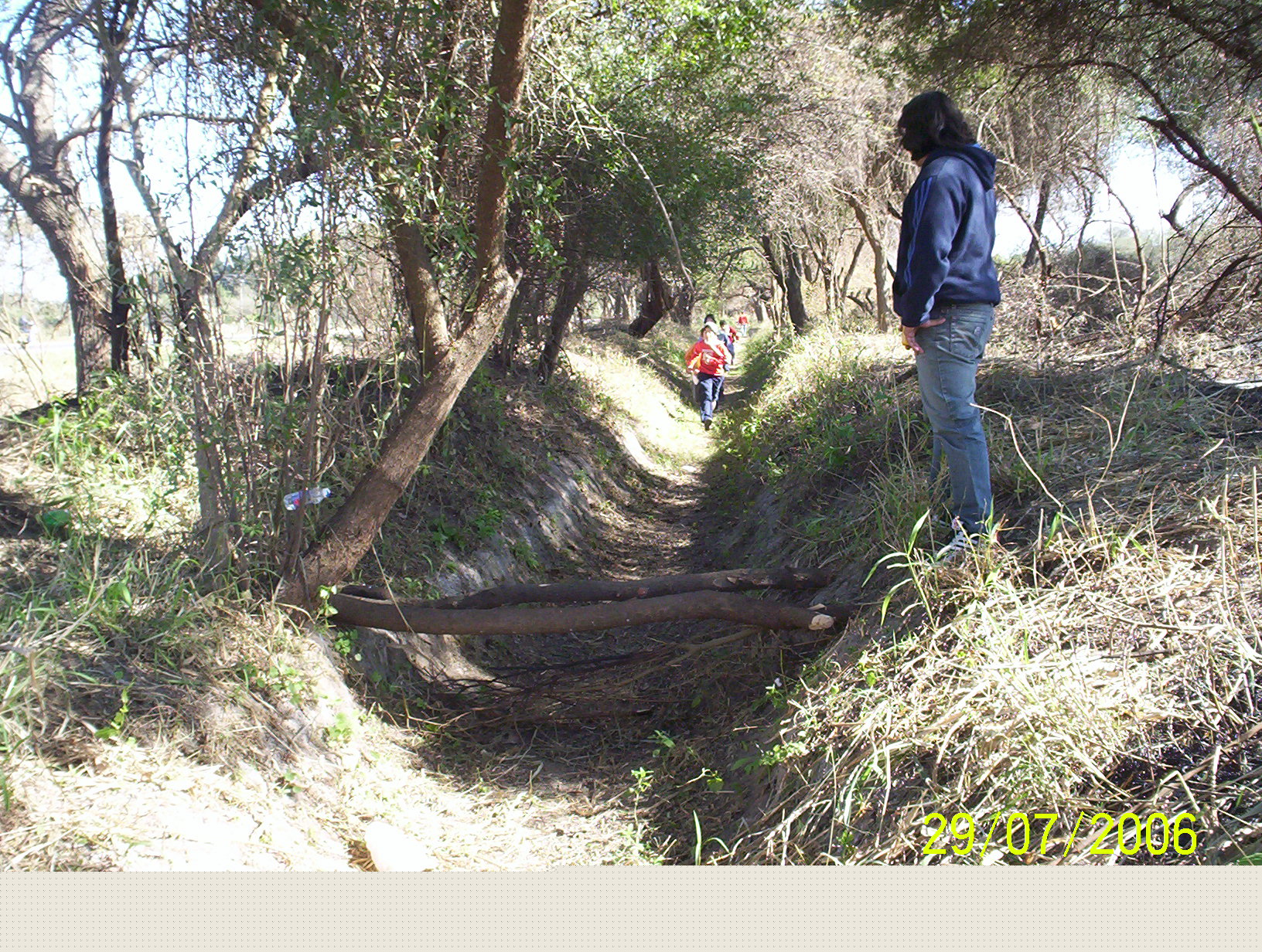 zonal06_3793.jpg